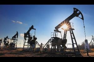 استقرار على أسعار النفط