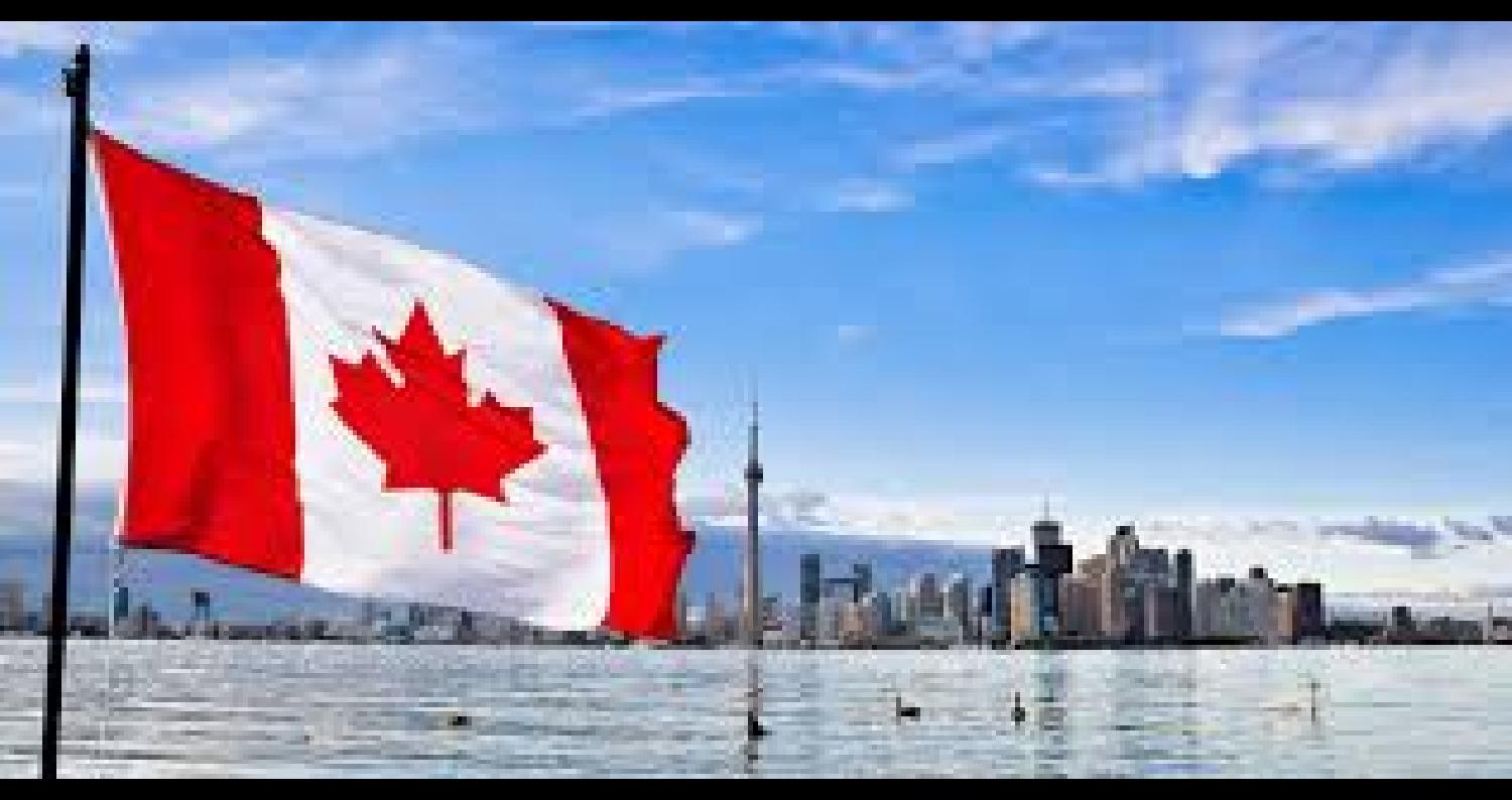 أكد وزير المالية الكندي بيل مورنو في مؤتمر صحفي اليوم الجمعة في أوتاوا أن الحكومة الكندية لا تفكر في اتخاذ أية إجراءات اقتصادية انتقامية ضد المملكة ال