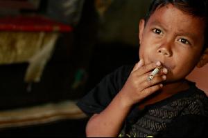 طفل إندونيسي لم يتجاوز الثانية من عمره لكنه من كبار المدخنين في بيته. يدخن أكثر من 40 سيجارة في اليوم، وإذا حرمه والداه من السجائر يغضب ويضرب رأسه في