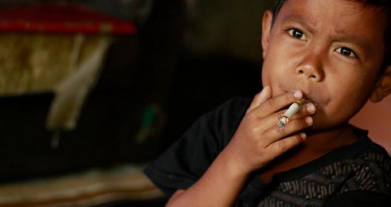 طفل إندونيسي لم يتجاوز الثانية من عمره لكنه من كبار المدخنين في بيته. يدخن أكثر من 40 سيجارة في اليوم، وإذا حرمه والداه من السجائر يغضب ويضرب رأسه في