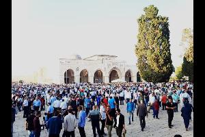 قالت دائرة الأوقاف الإسلامية في القدس بأن قرابة ١٠٠ ألف مصلي أدوا صلاة عيد الأضحى المبارك صباح اليوم في المسجد الأقصى المبارك