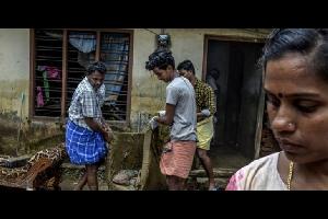 الأفاعي تغزو منازل الناجين من الفيضانات في الهند (شاهد)