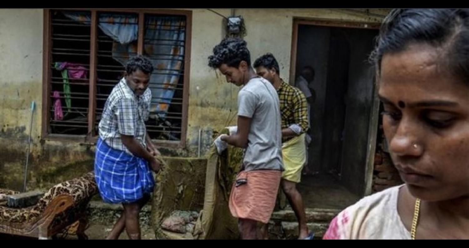 الأفاعي تغزو منازل الناجين من الفيضانات في الهند (شاهد)