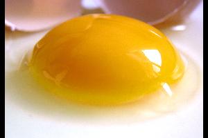 يتجنب كثيرون أكل صفار البيض ويكتفون بتناول البياض في سلوك غذائي أثبت العلم خطأه، إذ أشارت دراسة حديثة إلى أن الصفار يحتوي على مكونات هامة للجسم.