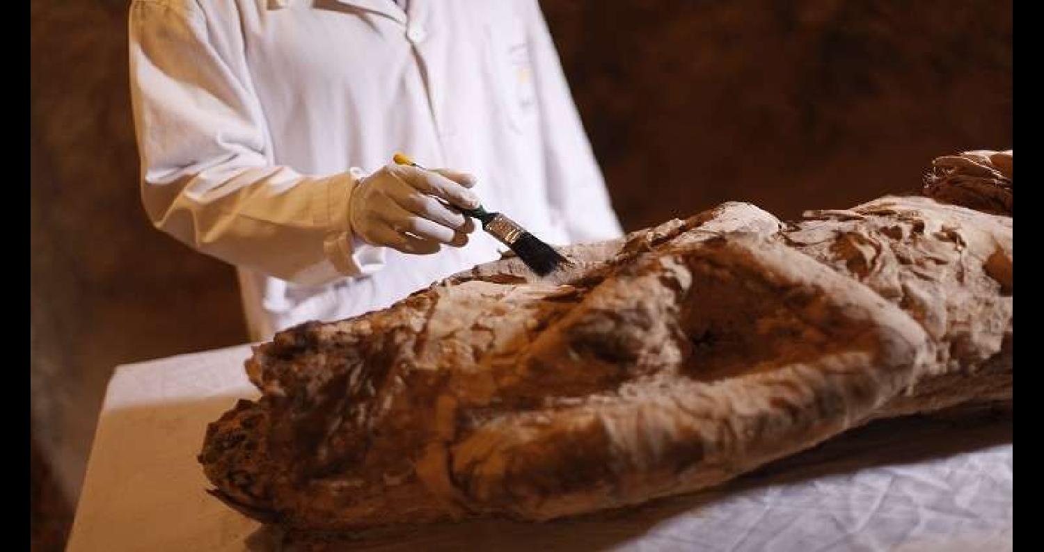 اكتشفت أجزاء من نص، لم يلاحظه العلماء سابقا، على بقايا تابوت مومياء مصرية محفوظة في متحف جامعة ستانفورد بالولايات المتحدة الأمريكية