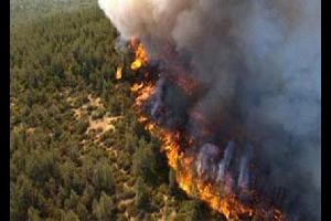سما الأردن| أتى حريق شب اليوم في منطقة برما على عشرات الأشجار الحرجية على امتداد نحو 150 دونما، حسب تصريح دفاع مدني جرش.