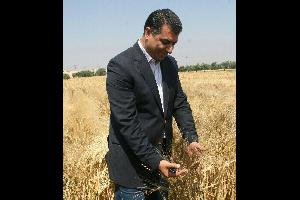 وزير الزراعة يتخذ قرارات فورية لحل مشاكل مزارعي القطرانة