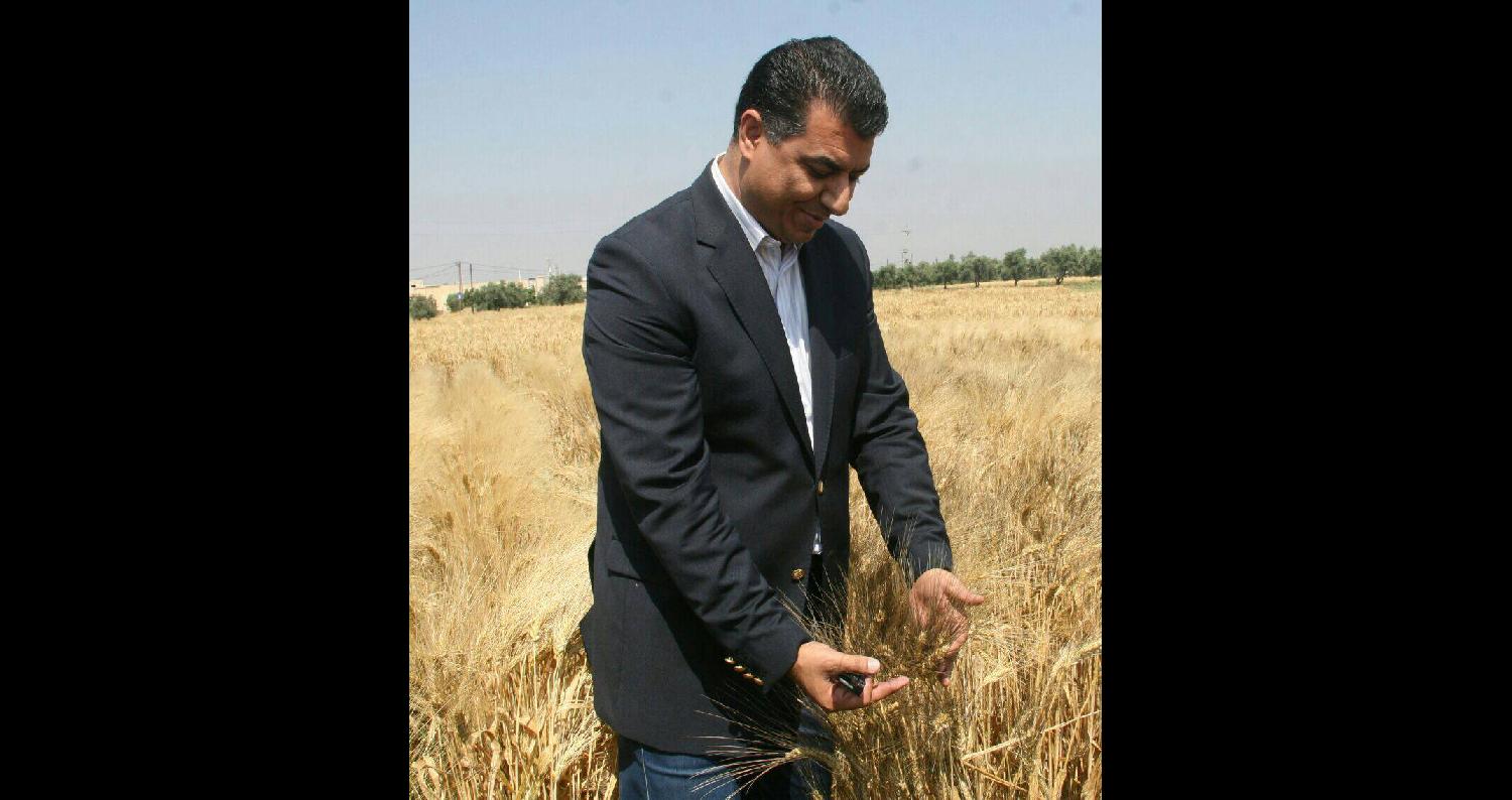 وزير الزراعة يتخذ قرارات فورية لحل مشاكل مزارعي القطرانة