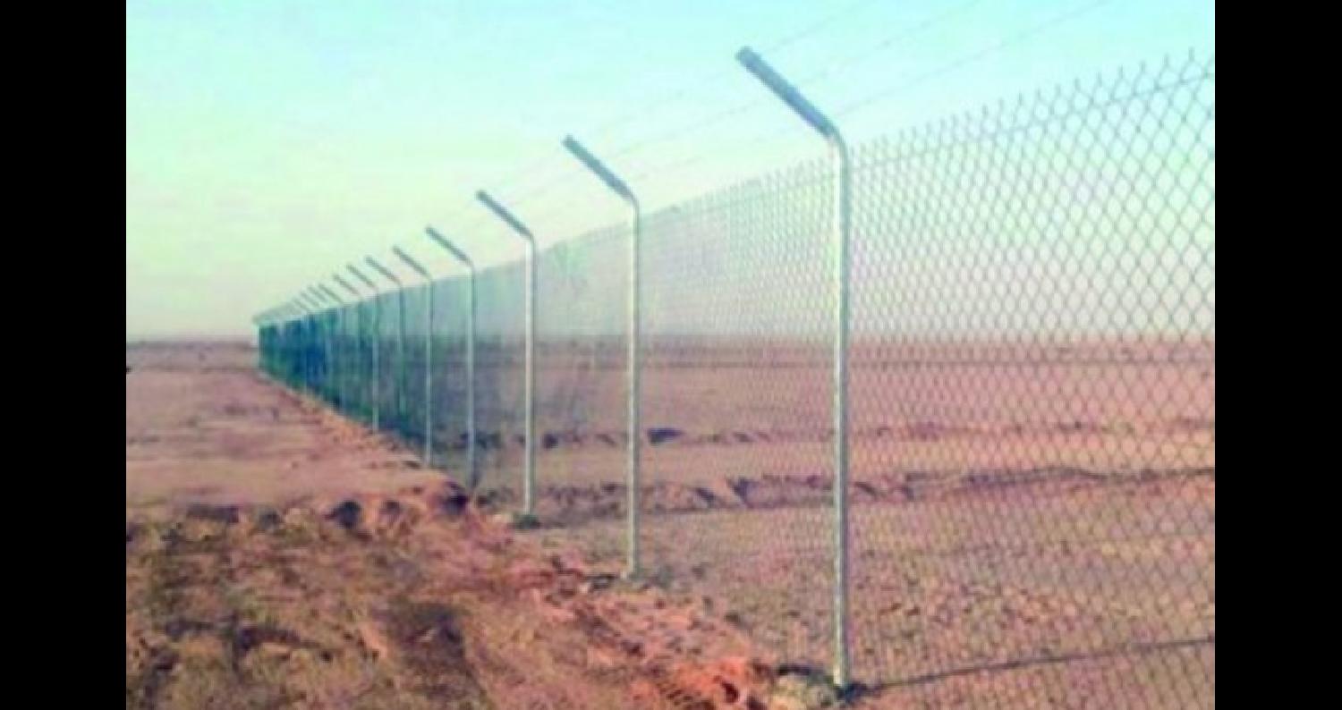 بناء شيك حديدي بين الأردن وسوريا لمنع دخول الخنازير البرية