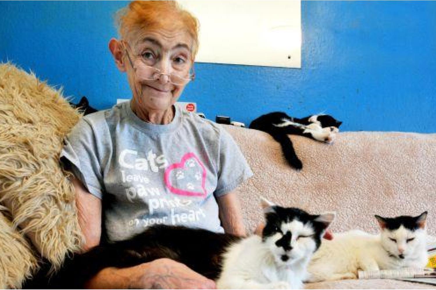 مصابة بالسرطان.. تبحث عن مأوى لقططها الـ70 التي أنقذتها