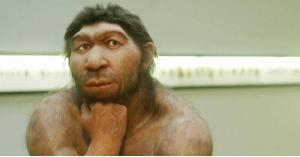 عملية تزاوج قبل 500 ألف عام "منعت انقراض البشر"