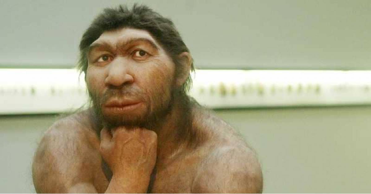 عملية تزاوج قبل 500 ألف عام "منعت انقراض البشر"