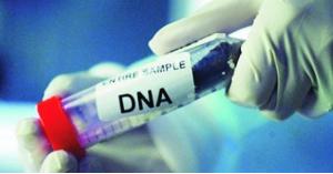 الصحة: نتائج الـ (DNA) لجثث ضحايا الأغوار لم تظهر بعد