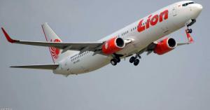 إندونيسيا: تحطم طائرة ركاب تقل 188 شخصا.. صور