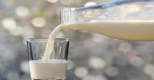 أول دليل علمي لصحة "أسطورة الحليب" التي أغضبت العلماء