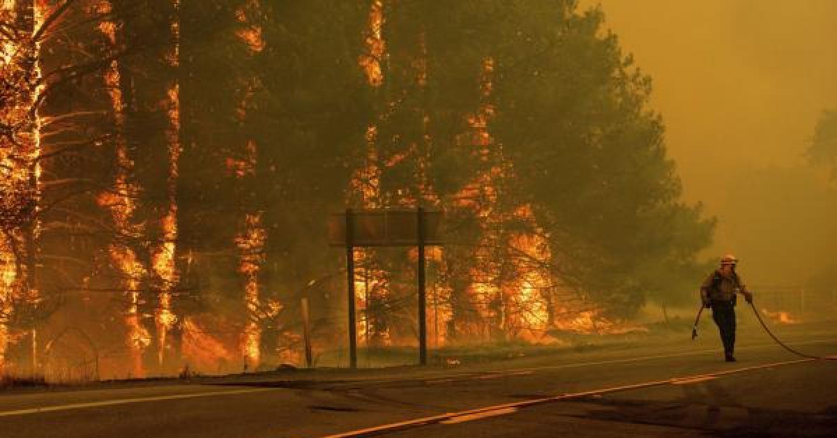 ارتفاع عدد قتلى حرائق غابات كاليفورنيا