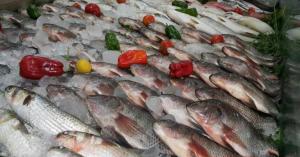 وزارة الزراعة تنفي فتح باب إستيراد الأسماك من مصر