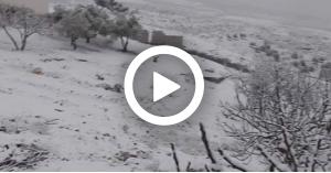 تساقط الثلوج في المملكة.. (صور-فيديو)