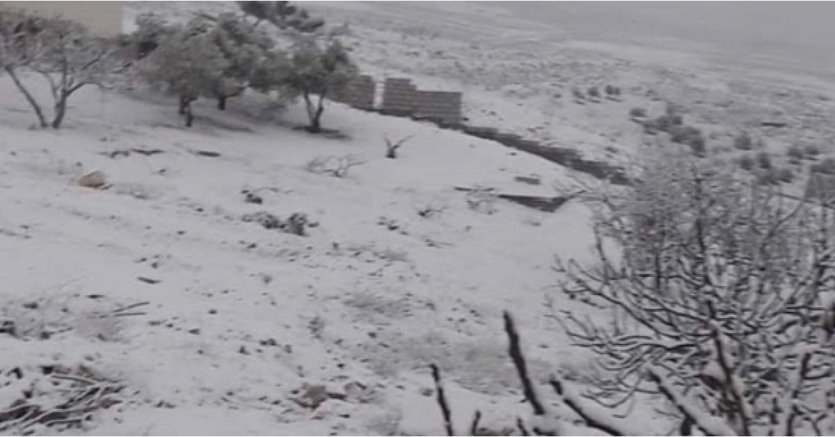 تساقط الثلوج في المملكة.. (صور-فيديو)