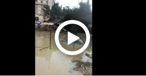 غرق مركبات مجدداً في عمان.. فيديو