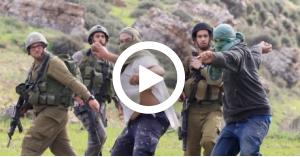 مستوطنون يعتدون على عائلة فلسطينية.. فيديو