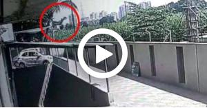 شاهد بالفيديو.. لحظة نجاة طفلة سقطت من الطابق 12