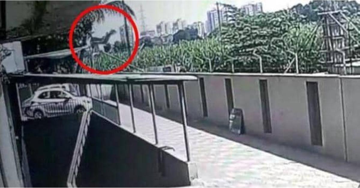 شاهد بالفيديو.. لحظة نجاة طفلة سقطت من الطابق 12