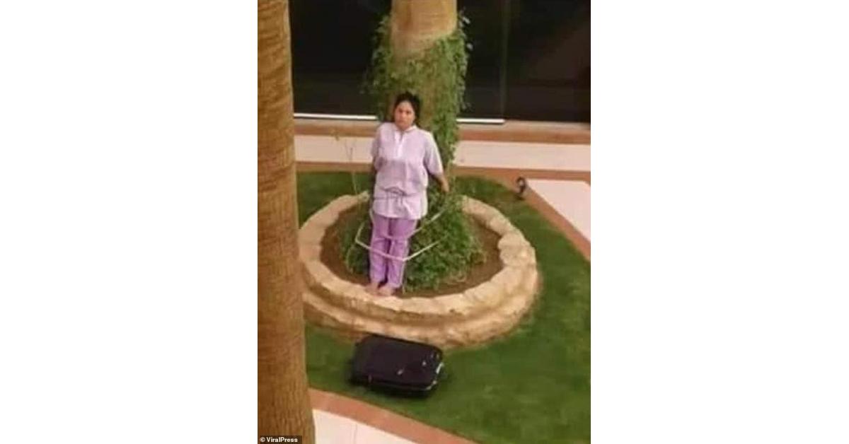 عائلة سعودية ثرية تربط خادمة فلبينية بشجرة والسبب.. تفاصيل