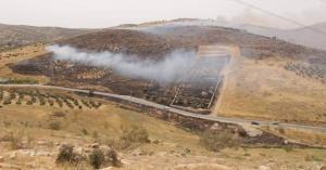 حريق 800 دونم بمنطقة الخلة في الزرقاء (صور)