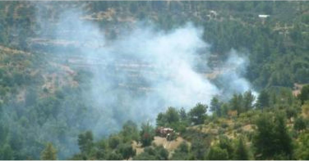 إخماد حريق أعشاب وأشجار حرجية في محافظة عجلون