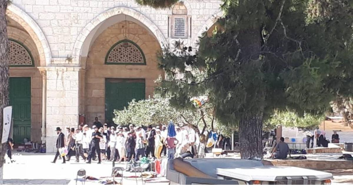 إصابة عدد من المعتكفين في المسجد الأقصى.. تفاصيل