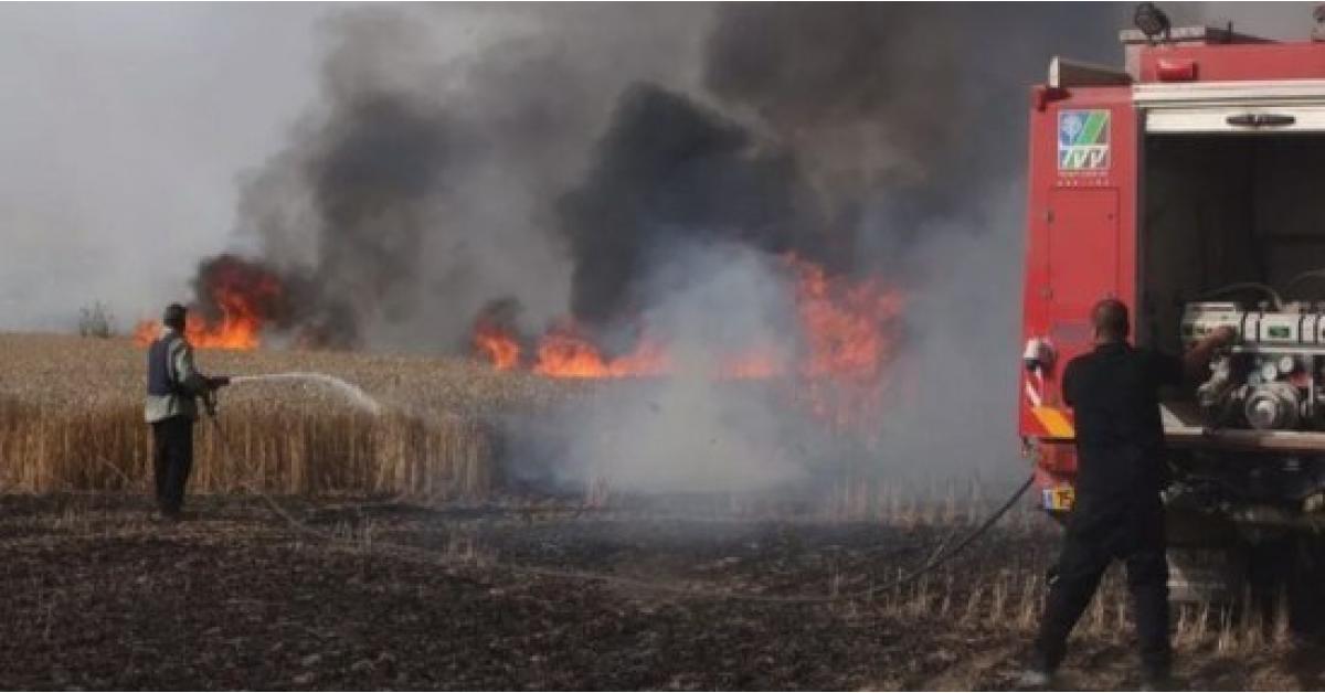 "نائب عراقي" يتهم الاردن بالوقوف وراء حرق المحاصيل الزراعية
