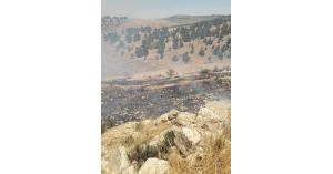 حريق  في جرش اكثر من ٣٠٠ دونم (صور)