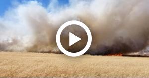 حريق كبير بمحاصيل في اربد فيديو