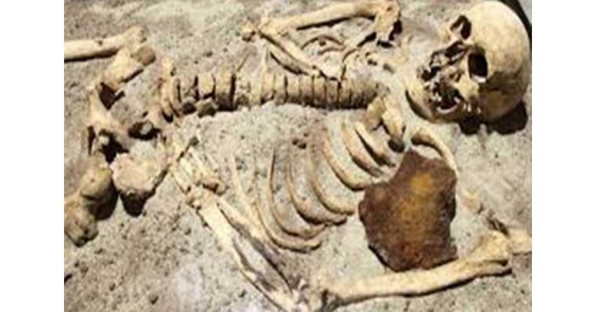العثور على بقايا إنسان عمرها 1.8 مليون سنة