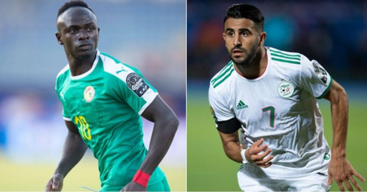 مشاهدة مباراة الجزائر والسنغال بث مباشر مباراة الجزائر والسنغال