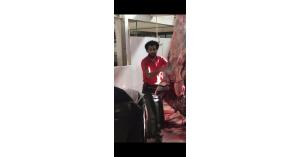 بالفديو : اللاعب "محمد صلاح" يشارك في ذبح الأضاحي