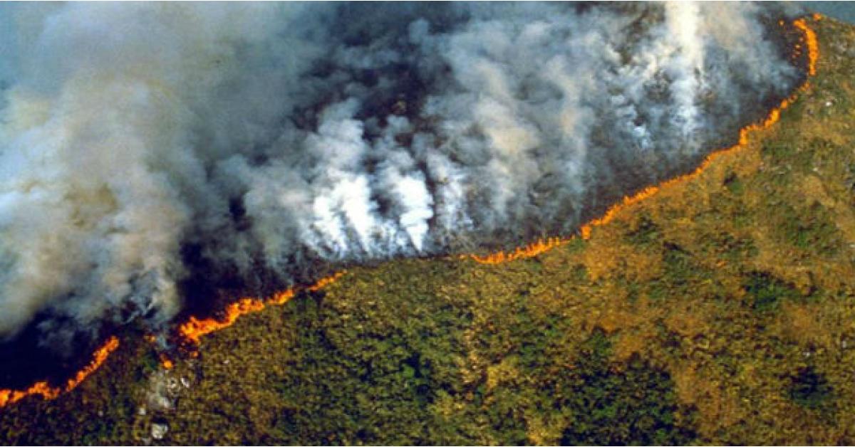 كندا تقدم 15 مليون دولار لمكافحة حرائق الأمازون