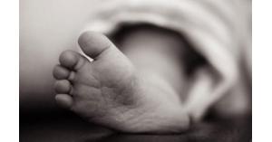 العثور على جثة طفل حديث الولادة في مقبرة بإربد