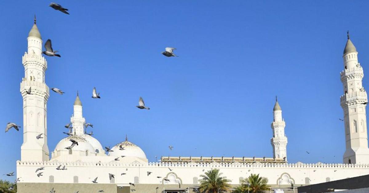أبرز معلومات عن "قباء" أول مسجد في الإسلام