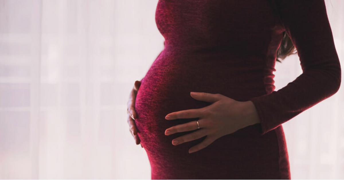 كيف يؤثر نظام الحامل الغذائي على حساسية مولودها؟