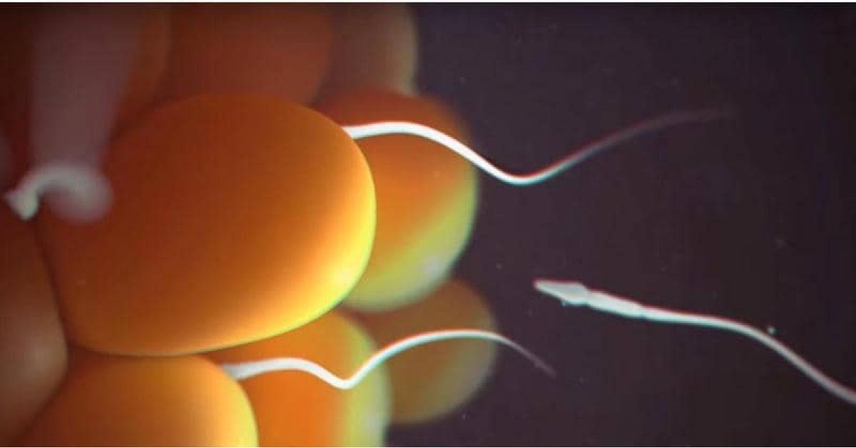 علماء يكتشفون سر تحديد جنس الجنين في السائل المنوي لأول مرة