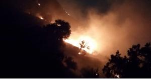 حريق هائل في منطقة ارخيم بإربد.. صور