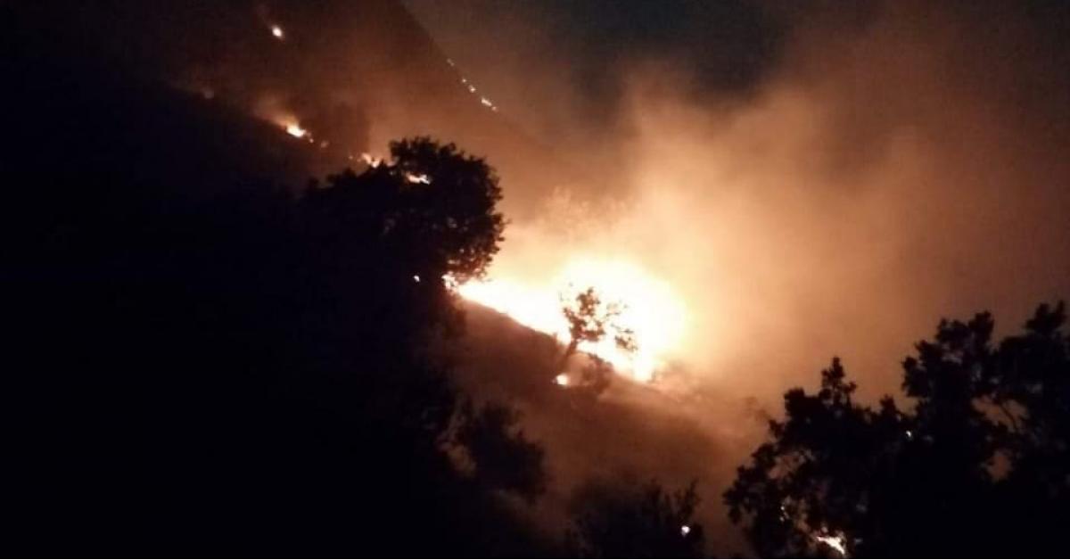 حريق هائل في منطقة ارخيم بإربد.. صور