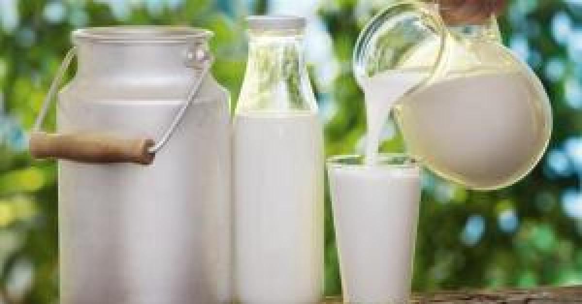 دراسة تكشف اعتقاداً خاطئاً عن شرب الحليب
