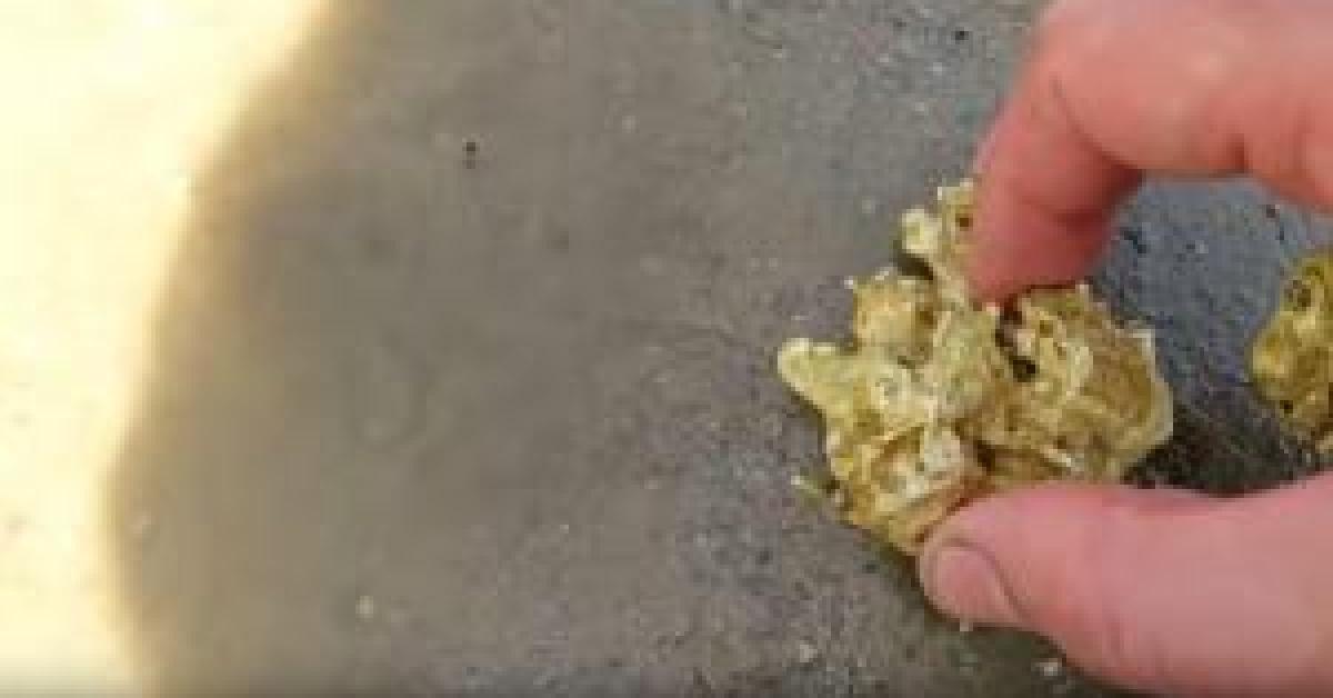 باحث عن الكنوز يعثر على أكبر قطعة ذهبية