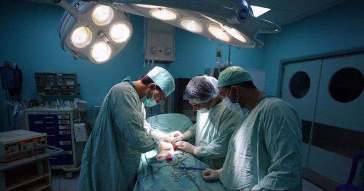 خلال عام.. طبيب أردني يجري 17 عملية زراعة كلى في غزة