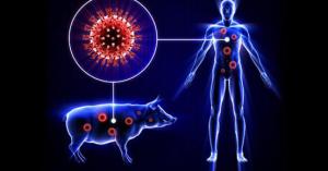 جابر: 199 حالة مصابة بانفلونزا الخنازير و (5) وفيات