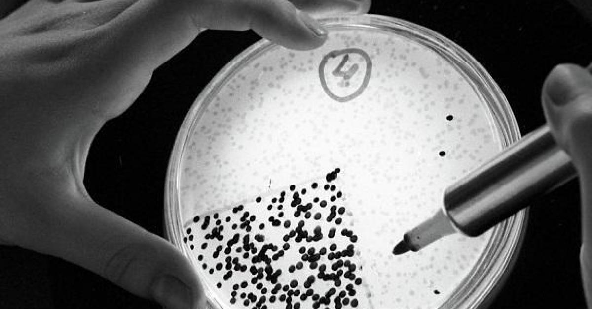 بكتيريا خارقة تهدد البشرية