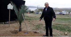 نتنياهو يزرع شجرة في غور الأردن